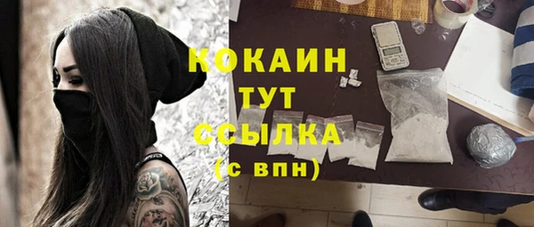 гашик Арсеньев